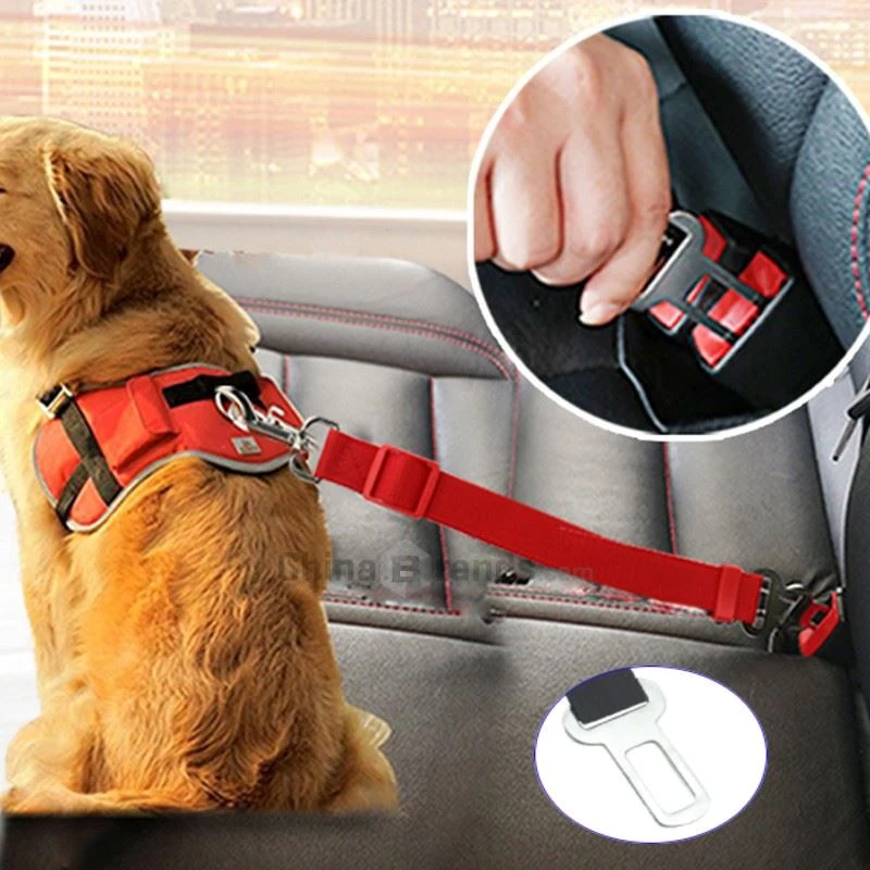 Dog Seat Belt Clip